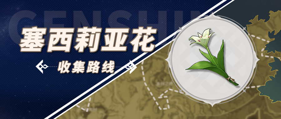 原神塞西莉亚花多久刷新一次-原神塞西莉亚花在哪里买在哪里采集