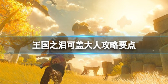 塞尔达传说王国之泪可盖大人怎么过
