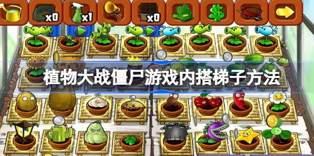 植物大战僵尸怎么搭梯子-植物大战僵尸游戏内搭梯子方法攻略