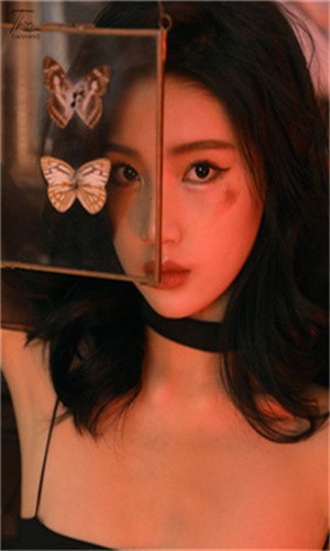 加藤视频apk下载