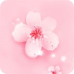 51app下载安装新版