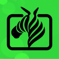 魅影直播视频
