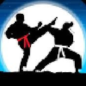 空手道战士真正的格斗Karate Fighter_logo